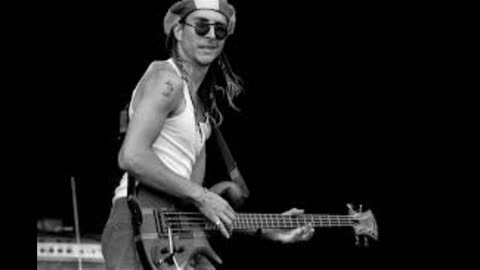 Oey The Nascar Driver