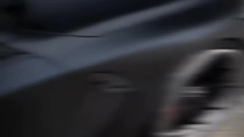 #rumble #royalrumble #rumblebros #readytorumble #rumblenation #rumblecommunity