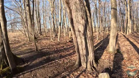 Exploring Saul Lake Bog Nature Preserve | Full Hike POV | Nature ASMR | Rockford, MI