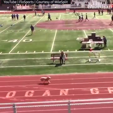 A dog ran onto the track during a high school relay race