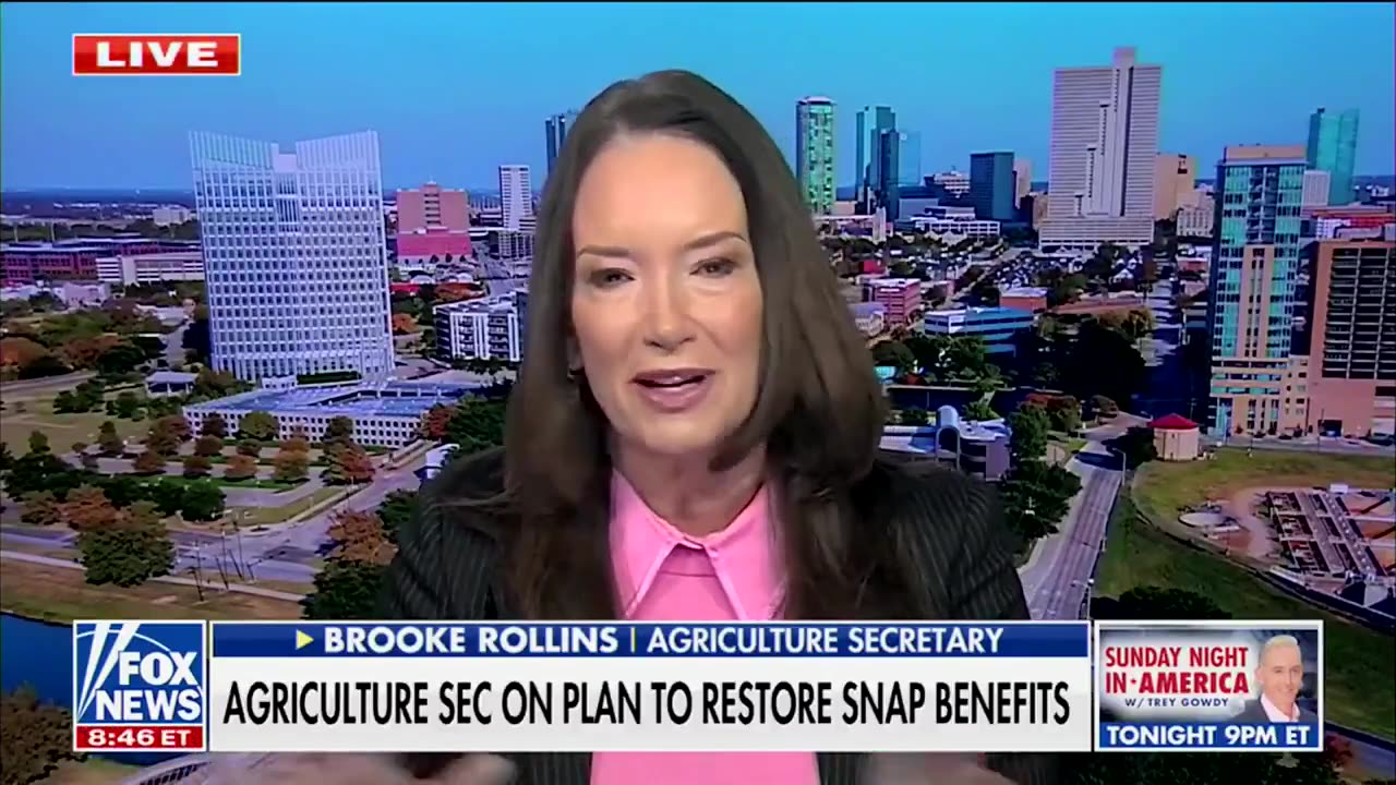 🚨 If SNAP handouts stop, illegals will leave & Dems will lose 20+ seats