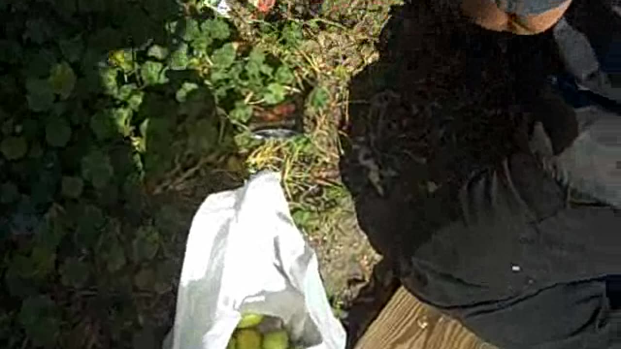 SHEA SHOW VAN STOLEN AND RECOVERED