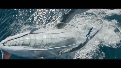 Movie Trailers - The Ultimate Trailer Compilation | Trailer Vault