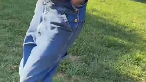 Funny video