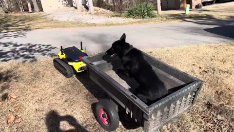 Going for a ride