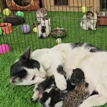 БЪДЕТЕ ХОРА