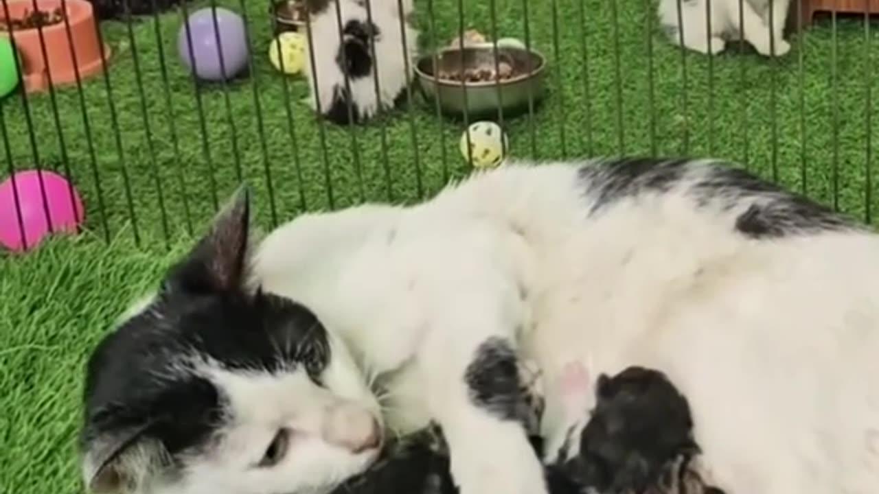 БЪДЕТЕ ХОРА