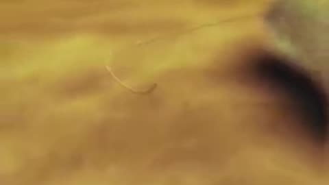 MUST SEE CREATION DOCUMENTARY