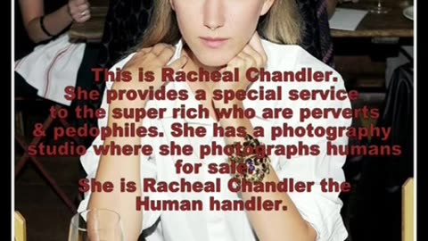 Chandler the Handler