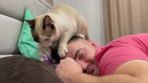 Cat Massage Therapy for Daddy