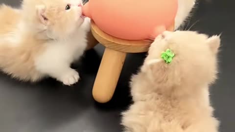 🤯✨ Unbelievable Trick to Peel Garlic in Seconds! | LifeHacksDaily