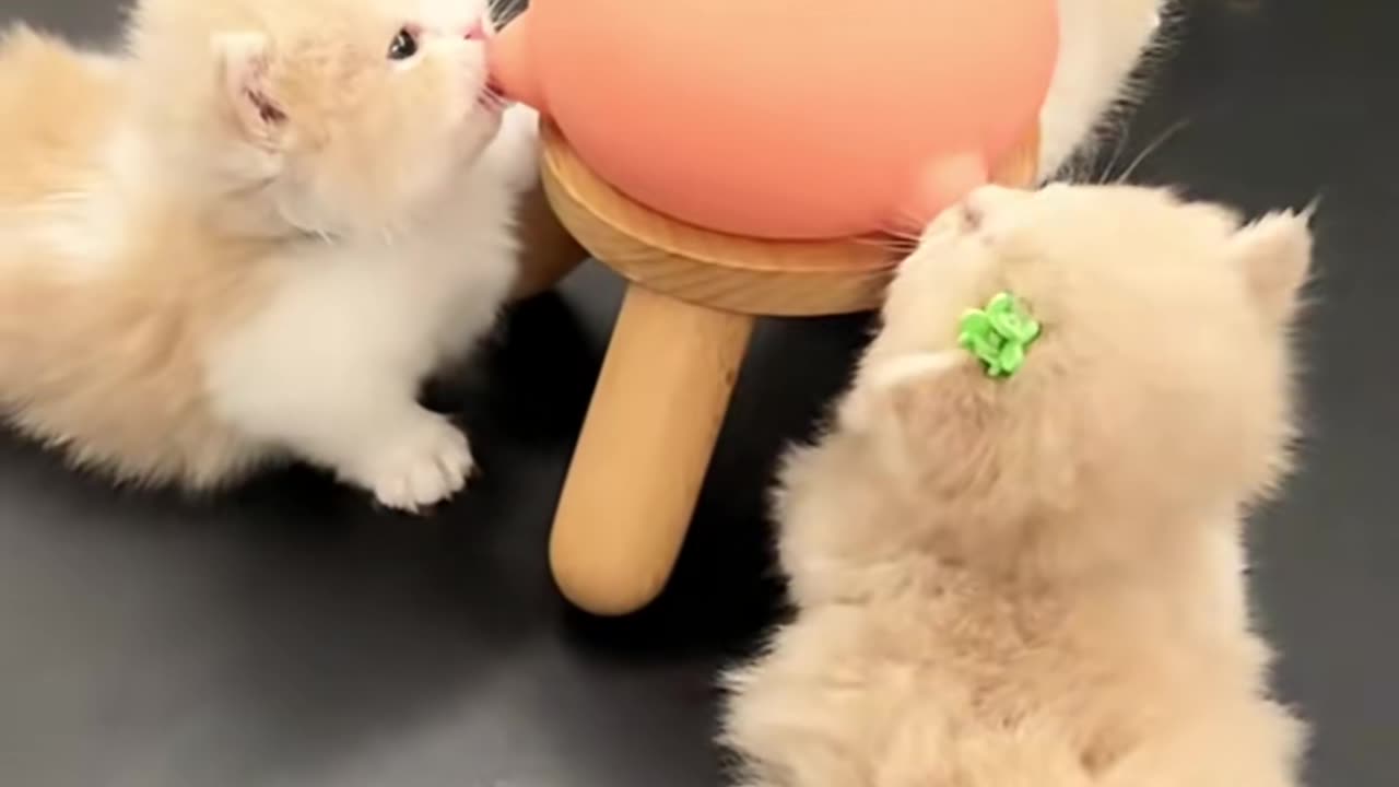 🤯✨ Unbelievable Trick to Peel Garlic in Seconds! | LifeHacksDaily