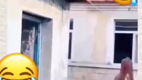 Funny videos 🤣