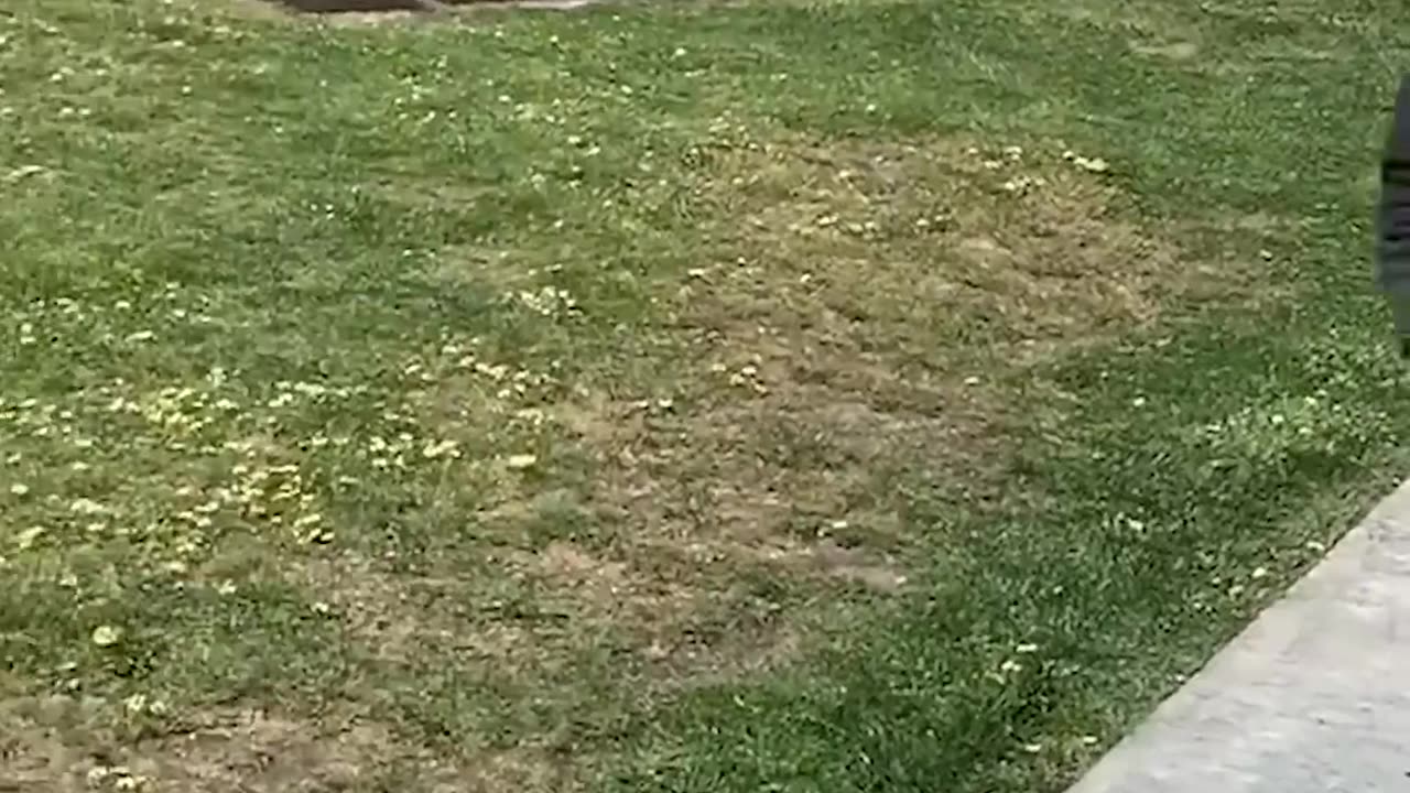 Real life Vs AI. Part 21