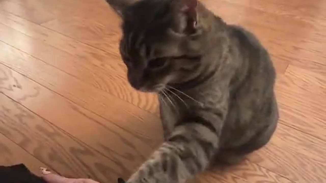 Her little angry pout before she grabbed your hand 😭😂