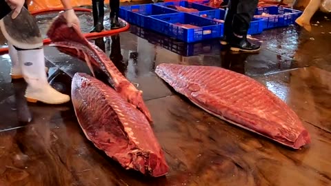 Fish