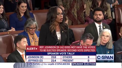 Democrat Delegate Makes A Scene During Speakership Vote, Screams Into Mic