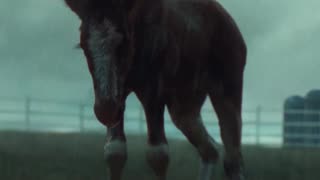 Budweiser made a commercial that is very much worth watching