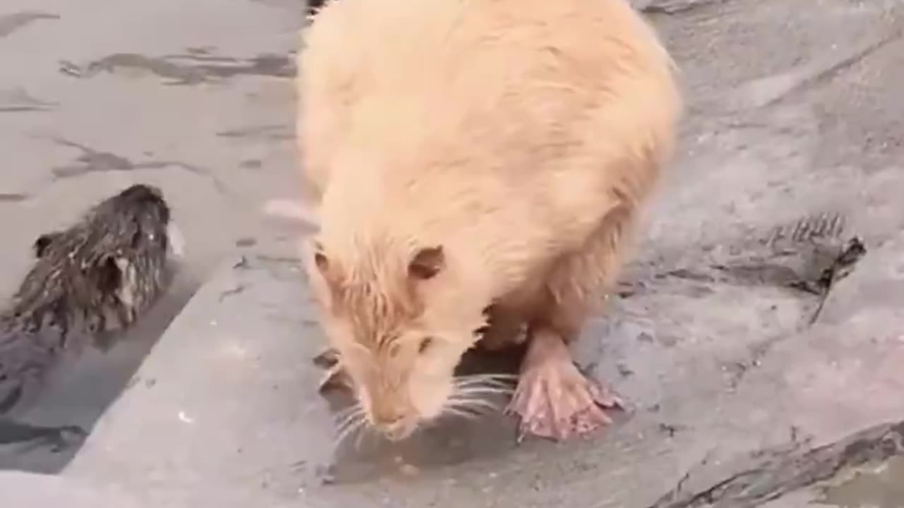 That's the ultimate spot! 😀