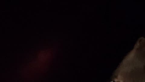 This is showing you the timestamps. I’m going to Pablo videos next.