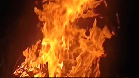 Daily Horoscope | Aries 🌟