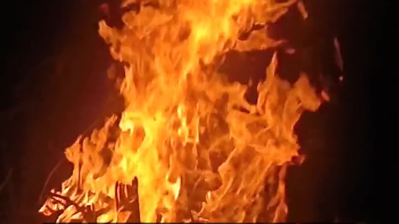 Daily Horoscope | Aries 🌟