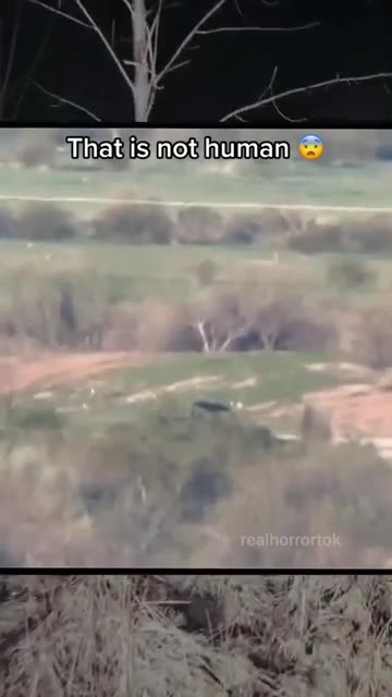 NO WAY THAT WAS A DEER