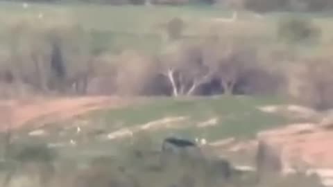 NO WAY THAT WAS A DEER