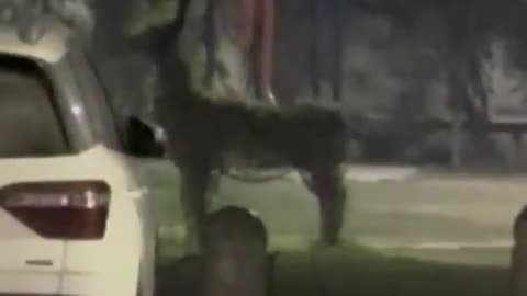 😱👻 The Scariest Spirit Sighting I've Ever Seen! Does the Swing Movement Look Natural? Paranormal Enc