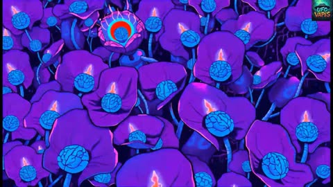 "Ghostlights Blackpool"