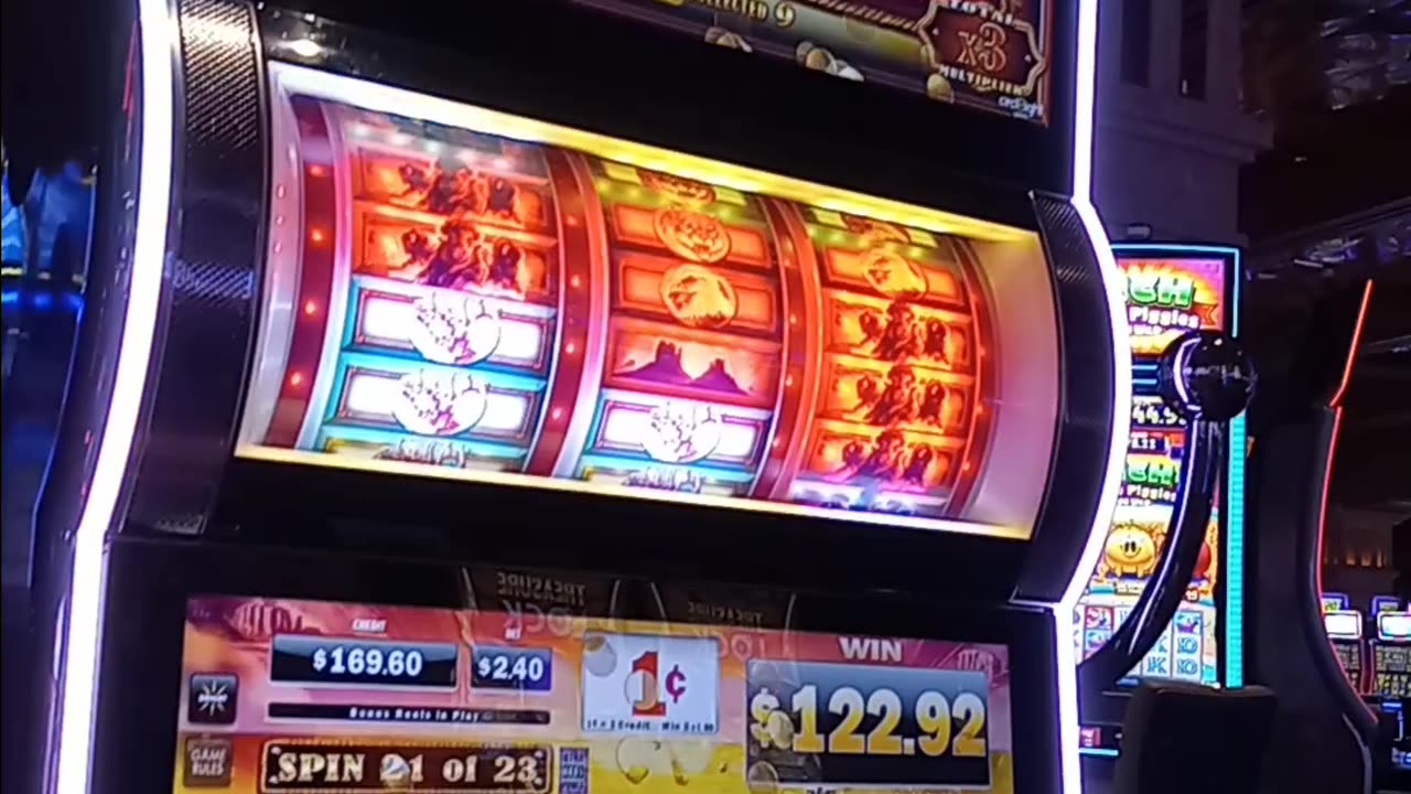 Buffalo Gold Reels Bonus 2