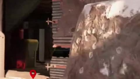 RainbowSixSiege Funny Moments