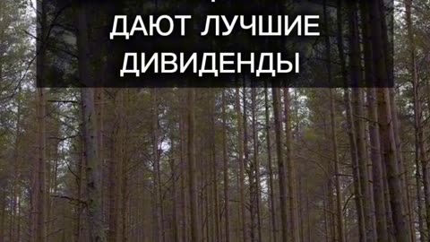 Инвестируй в недвижимость от 15 долларов по всему миру