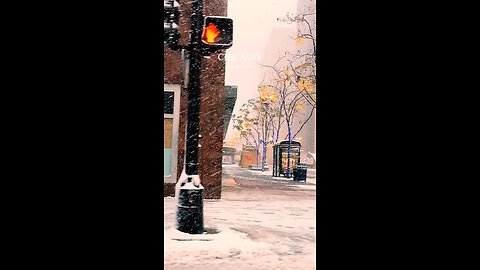 travel usa with beautiful snow 🌨️ falling