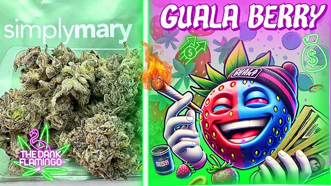 Trying Guala Berry from SimplyMary! The Dank Flamingo Cannabis Review!!