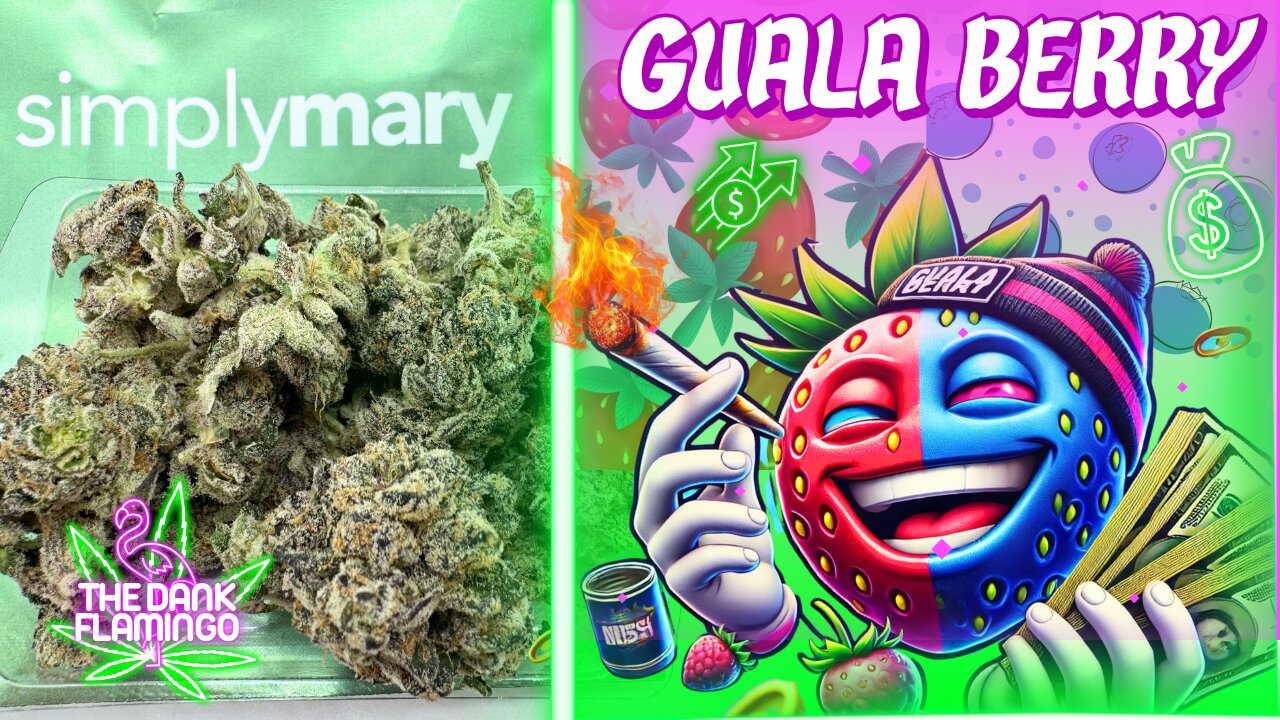 Trying Guala Berry from SimplyMary! The Dank Flamingo Cannabis Review!!