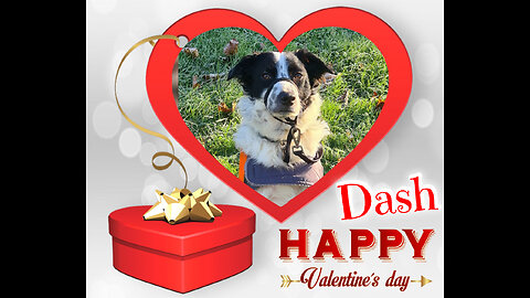 Woofs & Wags: Graphics for Furry Friends - Valentine's Day 2026
