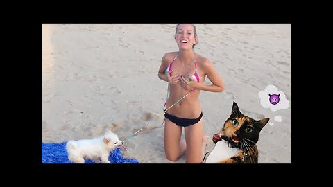 Judgy Cat Reacts To Mega Beach Fails