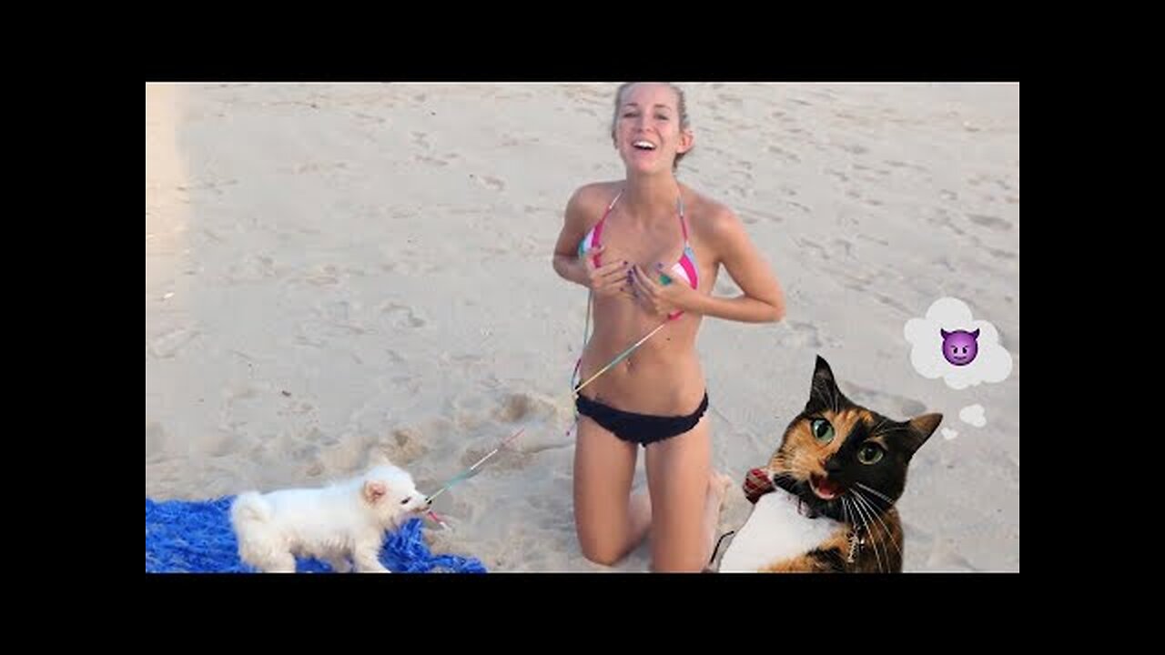 Judgy Cat Reacts To Mega Beach Fails