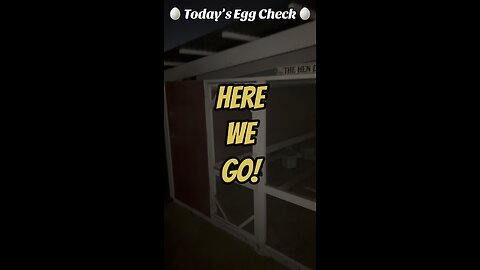 🥚 Friday’s Egg Check! 🥚