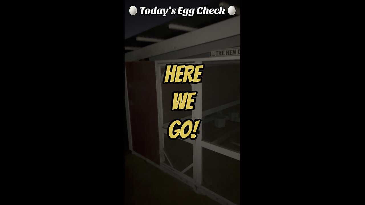 🥚 Friday’s Egg Check! 🥚