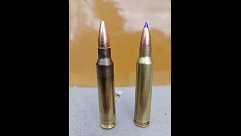 5.56 gel test: 55gr Barnes TTSX vs. 77gr AAC OTM