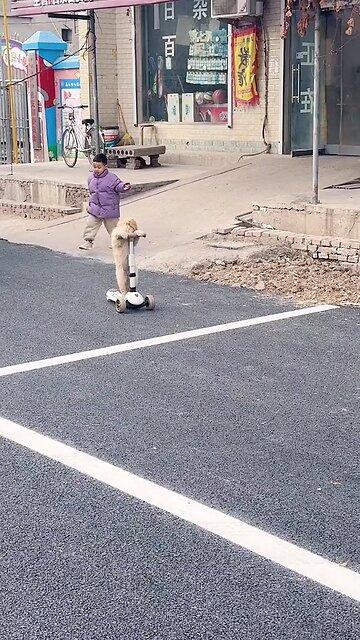 a dog riding a Scooty | funny moments | boy's bestie , a dog | a boy and a dog riding a Scooty