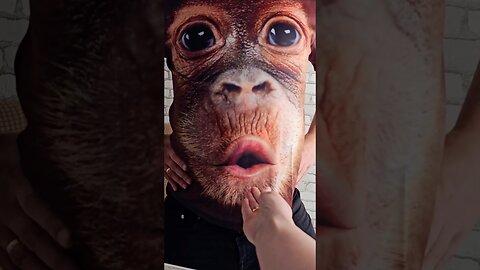 Crazy Gorilla 😆 Funny Video 🤣