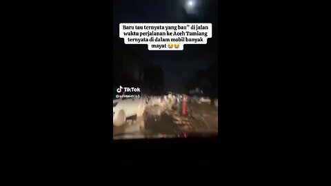 in the car there was a driver who was a corpse