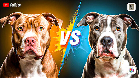 PITBULL VS AMSTAFF - Which Breed is Stronger?