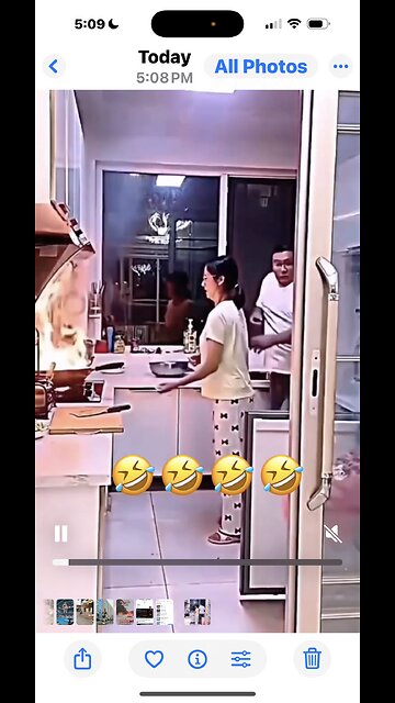 Funny and relaxing videos