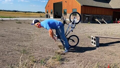 Best Fails of the Year 😂 | Try Not To Laugh Challenge 🤣