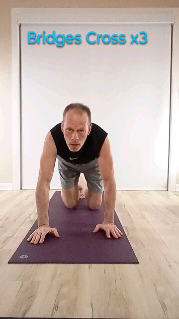 Bridge cross flow X3