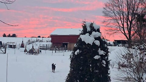 Adding BARN STORAGE! _ Just The Beginnning // Whitt Acres
